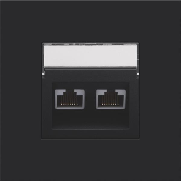 NIKO Centraalplaat 2x RJ45 STP cat.6 schuin met doorzichtig tekstveld zwart - 161-65400