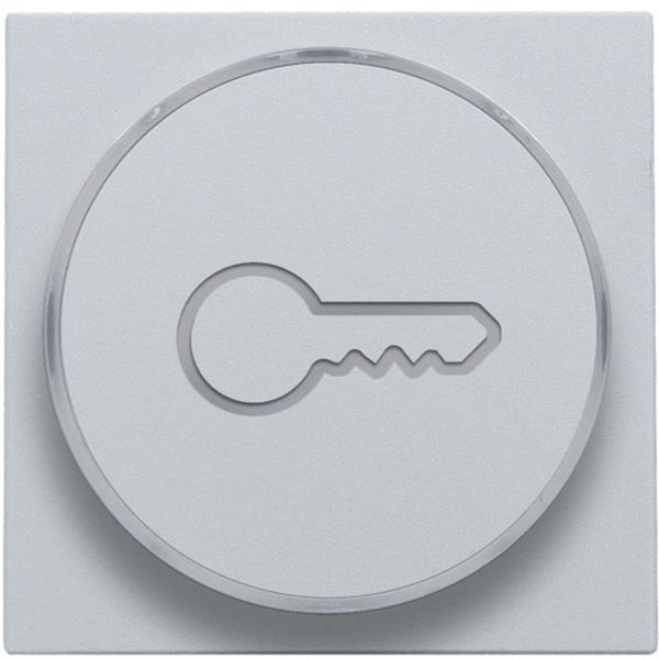 [3734628] NIKO – Schlüsselsymbol für Druckknopf 6a, e10-Lampensockel, Sterling - 121-64009
