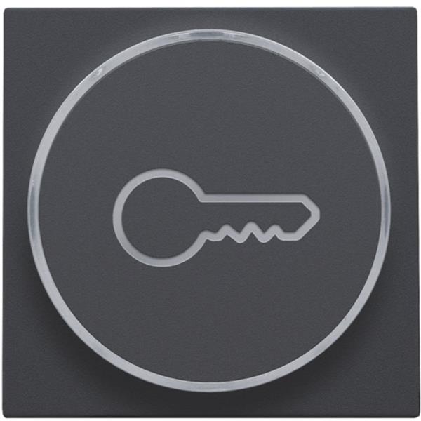 [3734683] NIKO - Toets met sleutelsymbool voor drukknop 6a, e10-lampvoet, antraciet - 122-64009