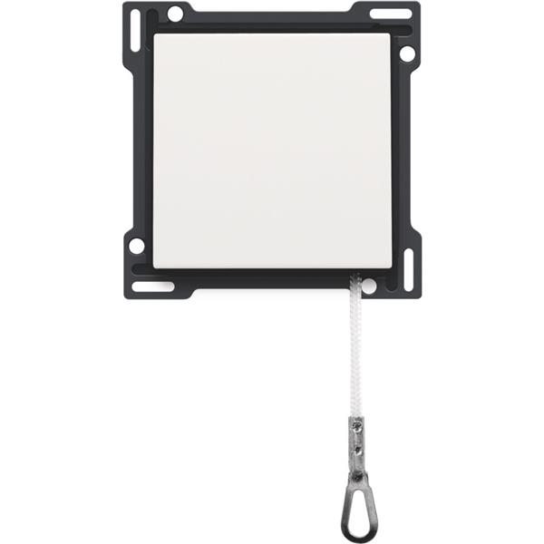 [3734863] Interrupteur central de traction de plaque, acier blanc