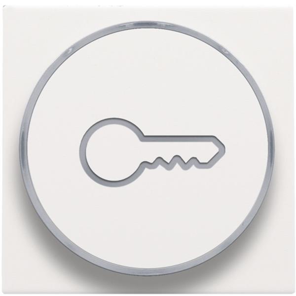 [3734868] NIKO - Bouton de symbole de clé pour bouton-poussoir 6a, base de lampe e10, acier blanc - 154-64009