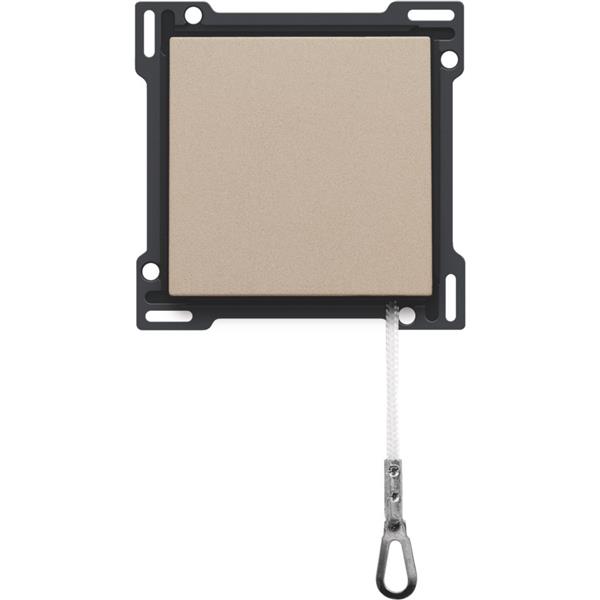 [3734926] Central plate pull switch, champagne