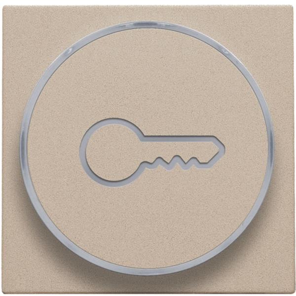 [3734931] Key symbol button for push button 6a, e10 lamp base, champagne
