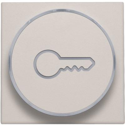 [3847225] NIKO SET DRUKKNOP 'SLEUTEL' - 102-64009