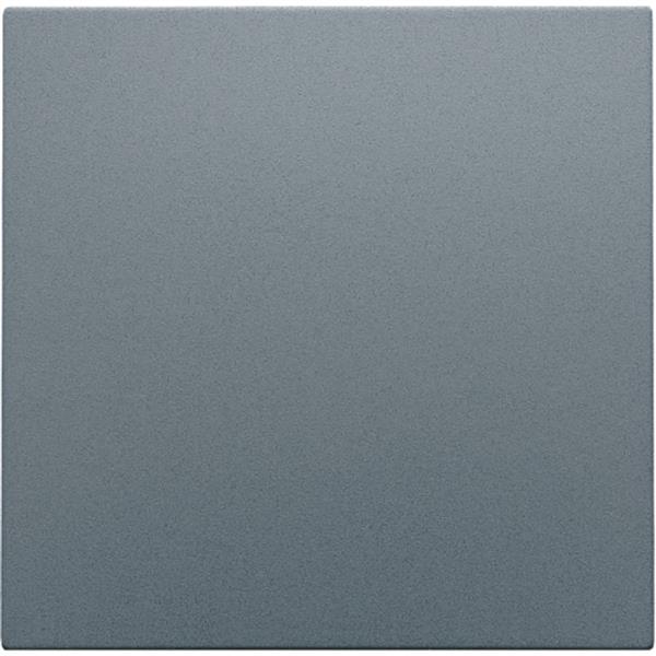 Electronic switch or push button button, grey steel