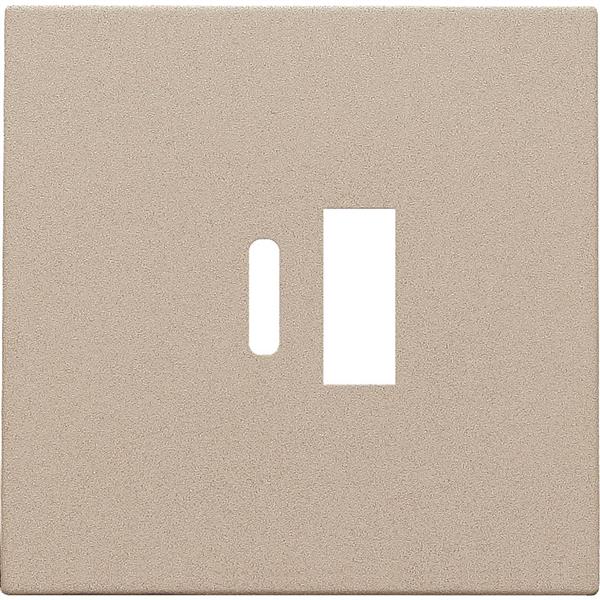 NIKO - Centraalplaat dubbele smart usb-a en usb-c-lader, champagne - 157-68002