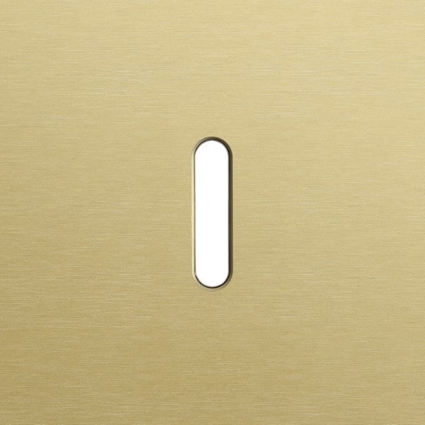 [8373444] NIKO - Enkelvoudige afdekplaat, vr 1 functie, Niko Home Control, Rocker, alu gold - 227-46101