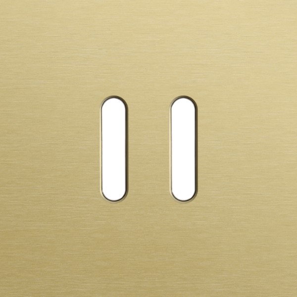 [8373445] NIKO - Plaque de couverture simple, pour 2 fonctions, Niko Home Control, Rocker, or alu - 227-46102