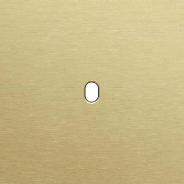 [8373450] NIKO - Enkelvoudige afdekplaat, vr 1 functie, Niko Home Control, Toggle, alu gold - 227-47101