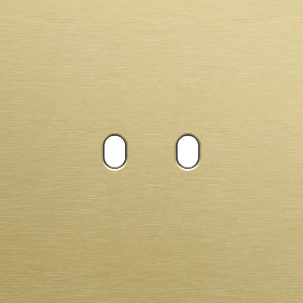 [8373451] NIKO - Enkelvoudige afdekplaat, vr 2 functies, Niko Home Control, Toggle, alu gold - 227-47102
