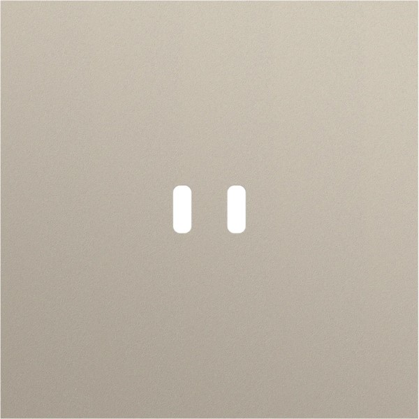 NIKO RT AFDEKPLAAT USB-C - 166-74103