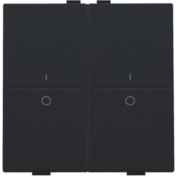 NIKO TOETS 2x RF / BUS  I-O - 161-00008